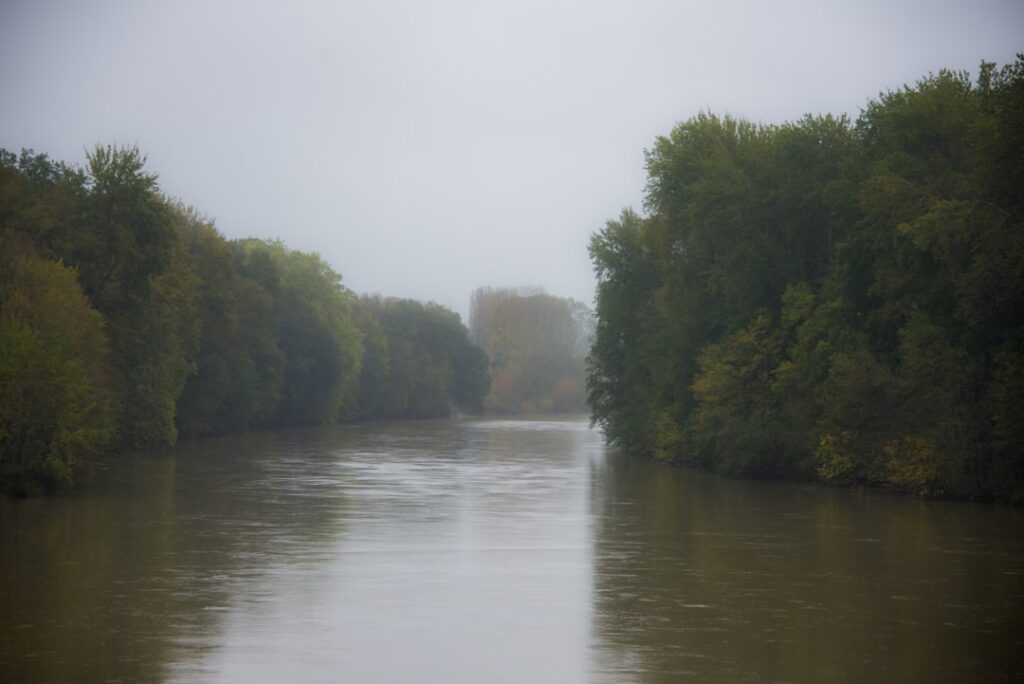 How Fog Season Humidity in the Valley Creates Mold Risk 3 how fog season humidity creates mold risk in the valley