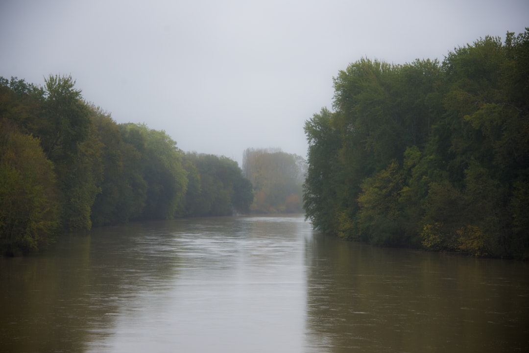 Blog 11 how fog season humidity creates mold risk in the valley